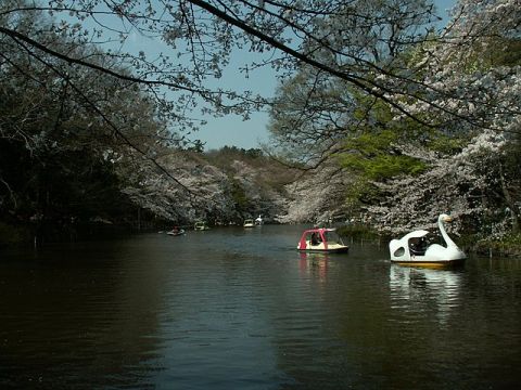 Kichijōji et le parc Inokashira