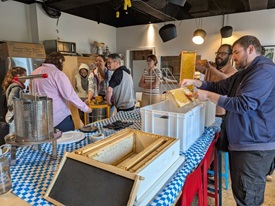Team members harvesting honey during a team-building activity